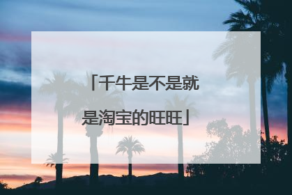 千牛是不是就是淘宝的旺旺