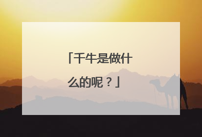 千牛是做什么的呢?