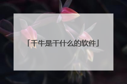千牛是干什么的软件