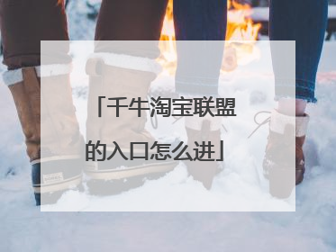 千牛淘宝联盟的入口怎么进