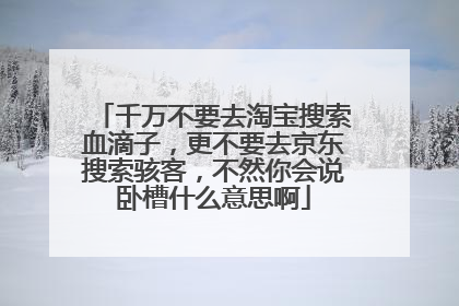 千万不要去淘宝搜索血滴子,更不要去京东搜索骇客,不然你会说卧槽什么意思啊