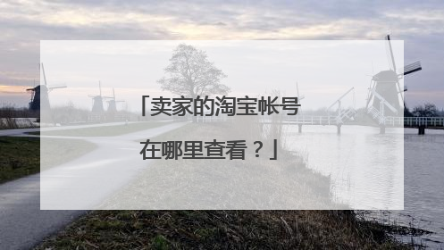 卖家的淘宝帐号在哪里查看?