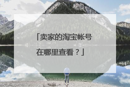 卖家的淘宝帐号在哪里查看?