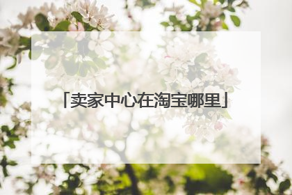 卖家中心在淘宝哪里