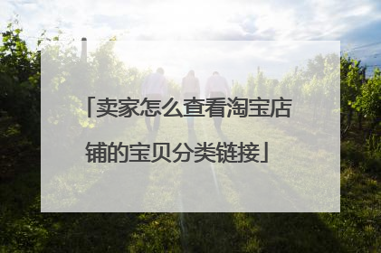 卖家怎么查看淘宝店铺的宝贝分类链接