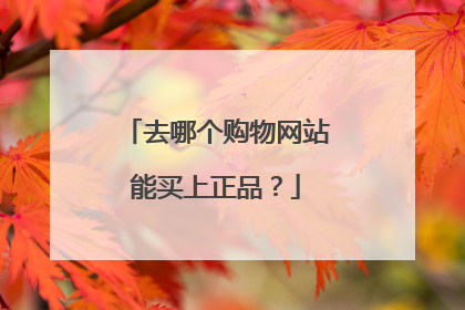 去哪个购物网站能买上正品?
