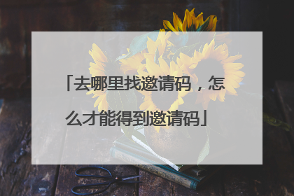 去哪里找邀请码，怎么才能得到邀请码