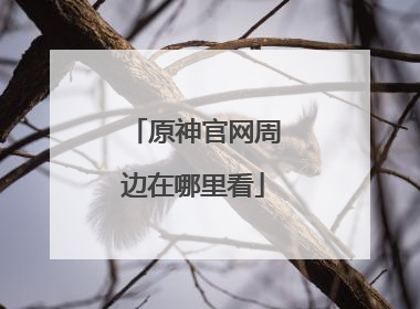 原神官网周边在哪里看