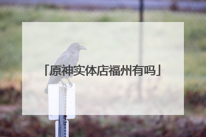原神实体店福州有吗