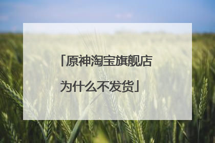 原神淘宝旗舰店为什么不发货