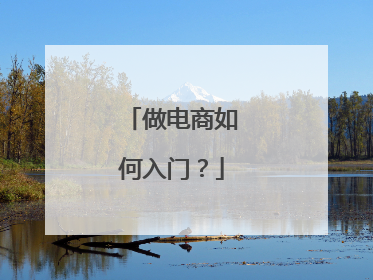做电商如何入门?