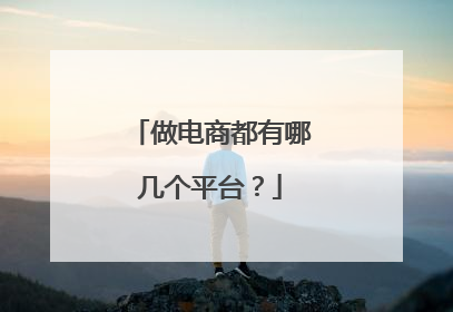 做电商都有哪几个平台?