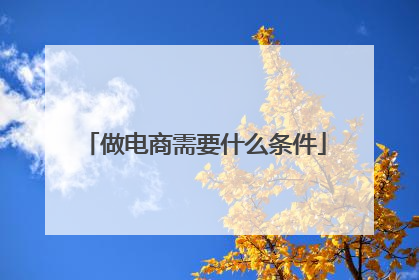 做电商需要什么条件