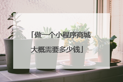 做一个小程序商城大概需要多少钱
