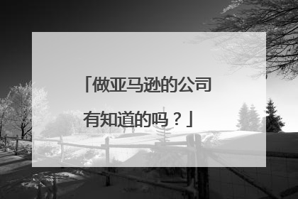 做亚马逊的公司有知道的吗？