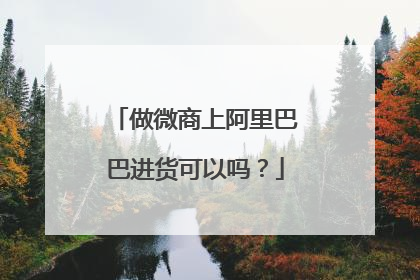 做微商上阿里巴巴进货可以吗?