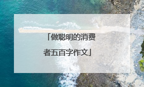 做聪明的消费者五百字作文