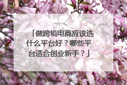做跨境电商应该选什么平台好?哪些平台适合创业新手?