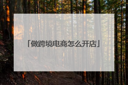 做跨境电商怎么开店