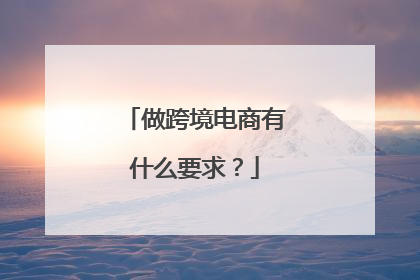 做跨境电商有什么要求？