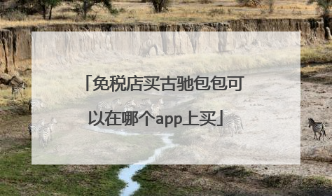 免税店买古驰包包可以在哪个app上买