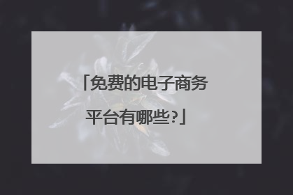 免费的电子商务平台有哪些?