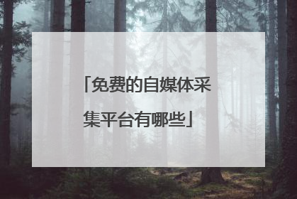 免费的自媒体采集平台有哪些