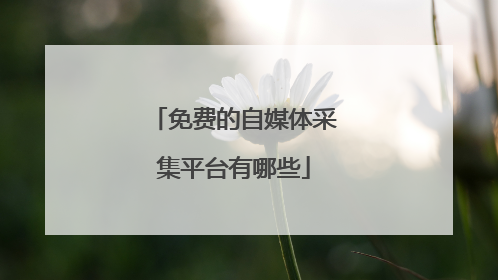 免费的自媒体采集平台有哪些