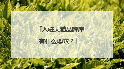 入驻天猫品牌库有什么要求?
