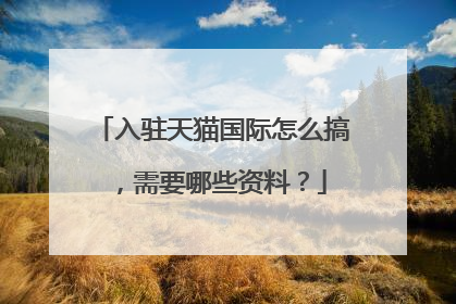 入驻天猫国际怎么搞，需要哪些资料？