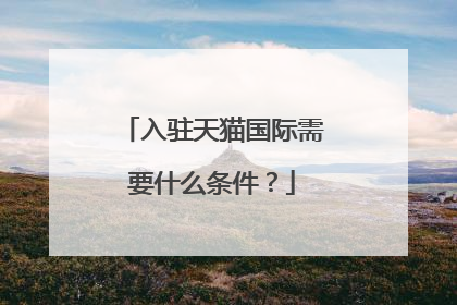 入驻天猫国际需要什么条件?