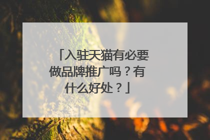 入驻天猫有必要做品牌推广吗?有什么好处?