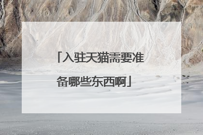 入驻天猫需要准备哪些东西啊