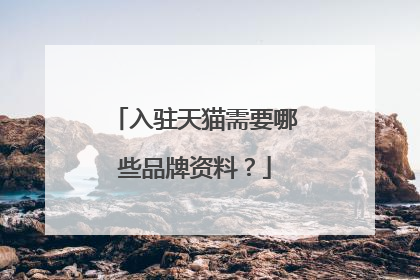 入驻天猫需要哪些品牌资料?