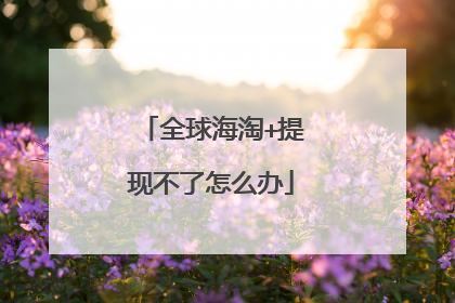 全球海淘+提现不了怎么办