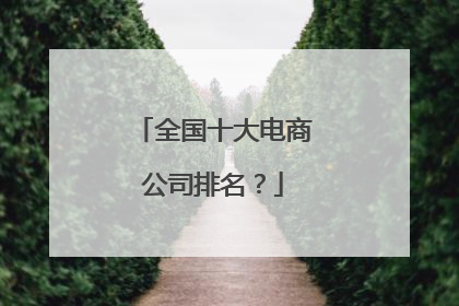 全国十大电商公司排名?