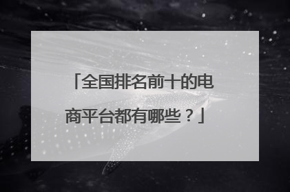 全国排名前十的电商平台都有哪些？