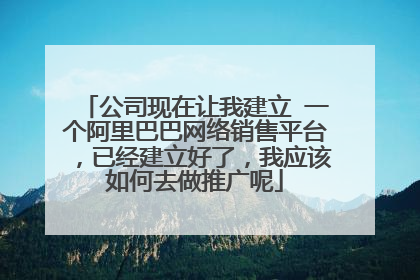 公司现在让我建立 一个阿里巴巴网络销售平台,已经建立好了,我应该如何去做推广呢