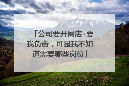 公司要开网店·要我负责，可是我不知道需要哪些岗位