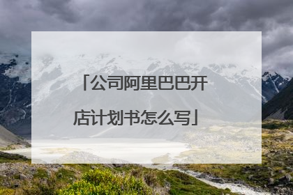 公司阿里巴巴开店计划书怎么写