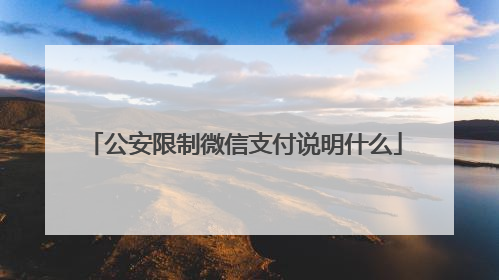 公安限制微信支付说明什么