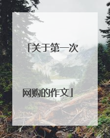 关于第一次网购的作文