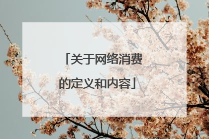 关于网络消费的定义和内容