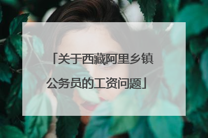 关于西藏阿里乡镇公务员的工资问题
