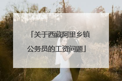 关于西藏阿里乡镇公务员的工资问题