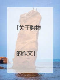 关于购物的作文