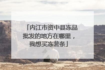 内江市资中县冻品批发的地方在哪里,我想买冻薯条
