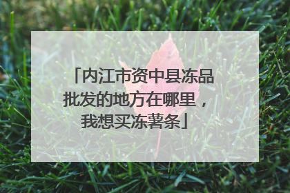 内江市资中县冻品批发的地方在哪里,我想买冻薯条