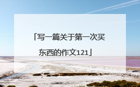 写一篇关于第一次买东西的作文121