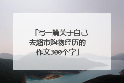 写一篇关于自己去超市购物经历的作文300个字